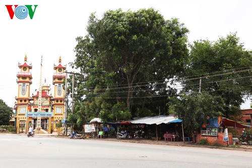 រូបថតកុមារ Napalm ក្រោយរយៈពេល ៤១ ឆ្នាំ  - ảnh 4